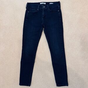 Banana Republic Blue Denim Skinny Ankle Jeans